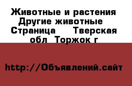 Животные и растения Другие животные - Страница 2 . Тверская обл.,Торжок г.